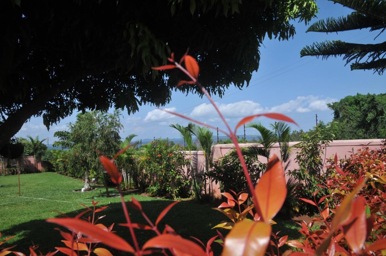 Victoria Lake View Guesthouse & Safaris Entebbe Eksteriør billede