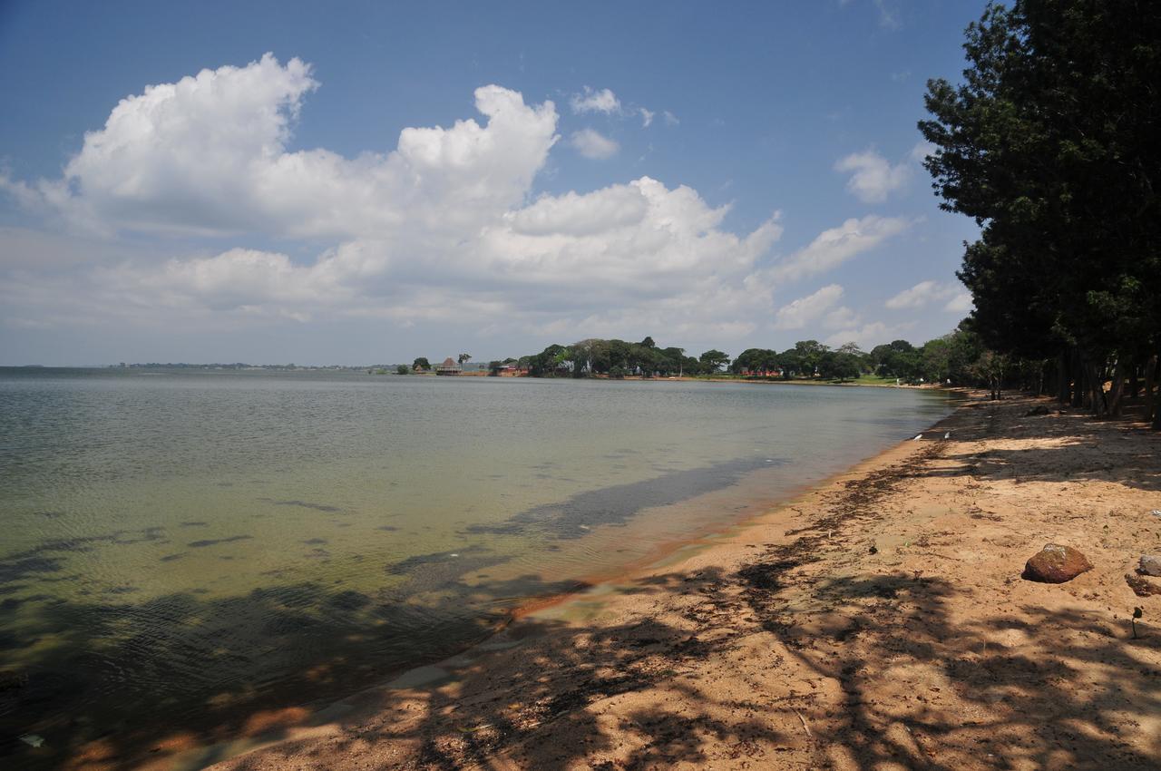 Victoria Lake View Guesthouse & Safaris Entebbe Eksteriør billede
